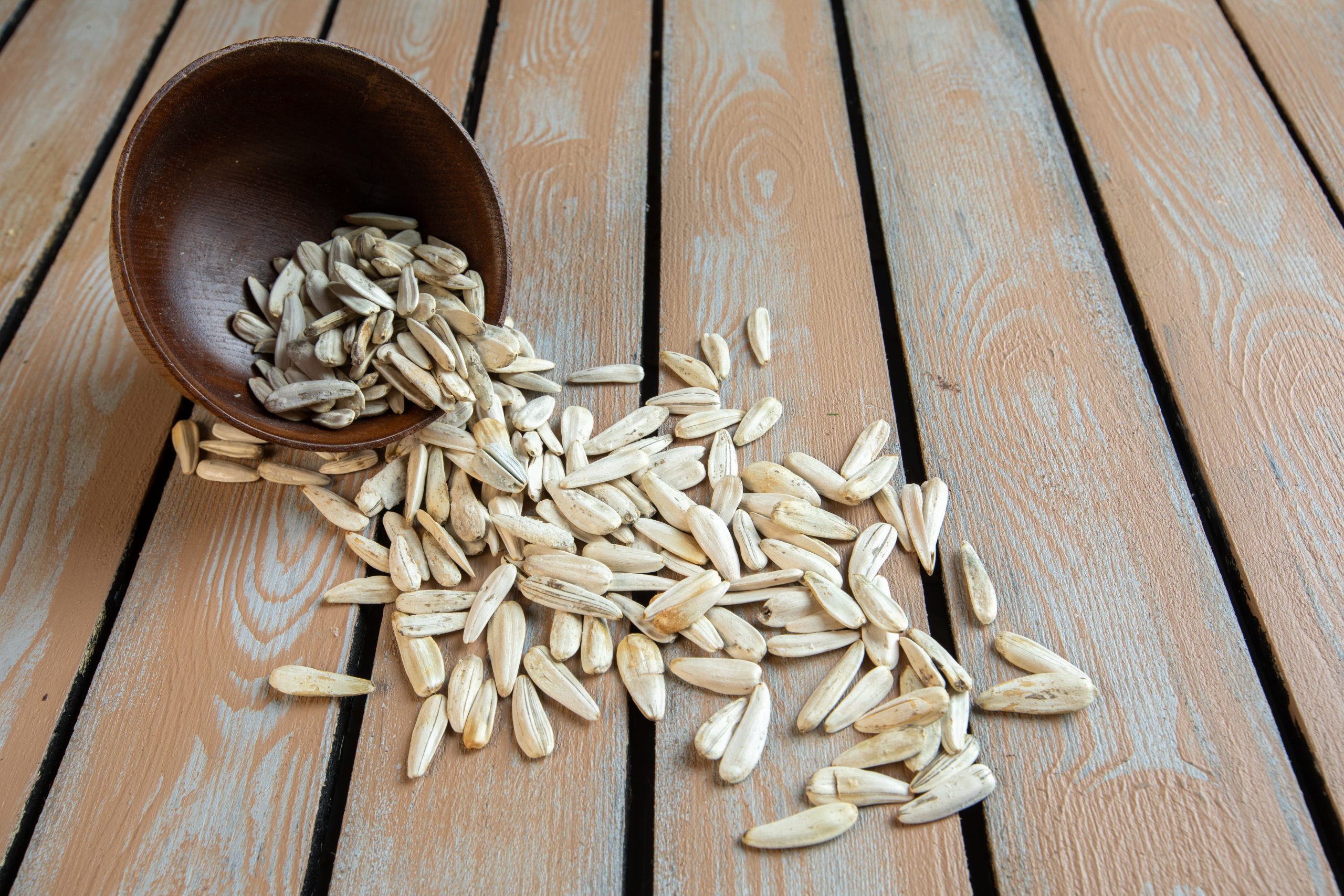 top view of white sunflower seeds scattered from a wooden pot on rustic background
